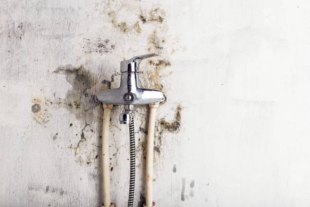Best Mold Remediation for Specific Building Types in Simpsonville, KY
