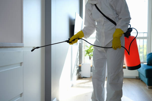 Best Mold Remediation for Schools in Simpsonville, KY