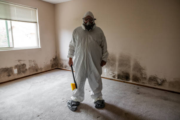 Best HVAC Mold Remediation in Simpsonville, KY