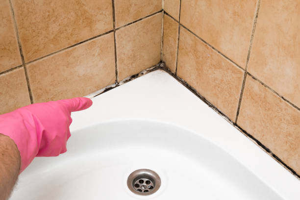 Best Emergency Mold Remediation in Simpsonville, KY